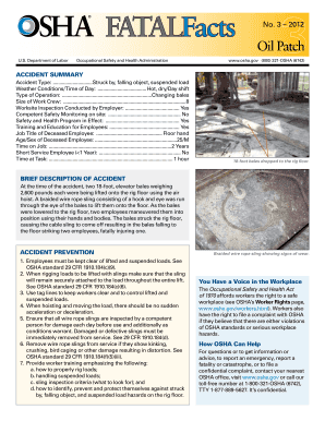OSHA Accident Summary Form