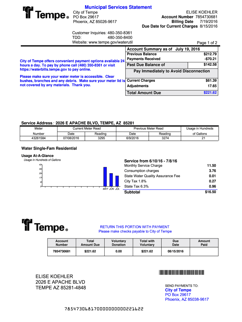 municipality statement online Preview on Page 1