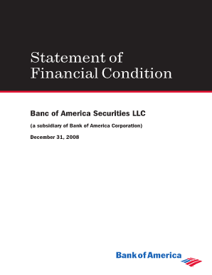 Statement of Financial Condition - Bank of America Merrill Lynch