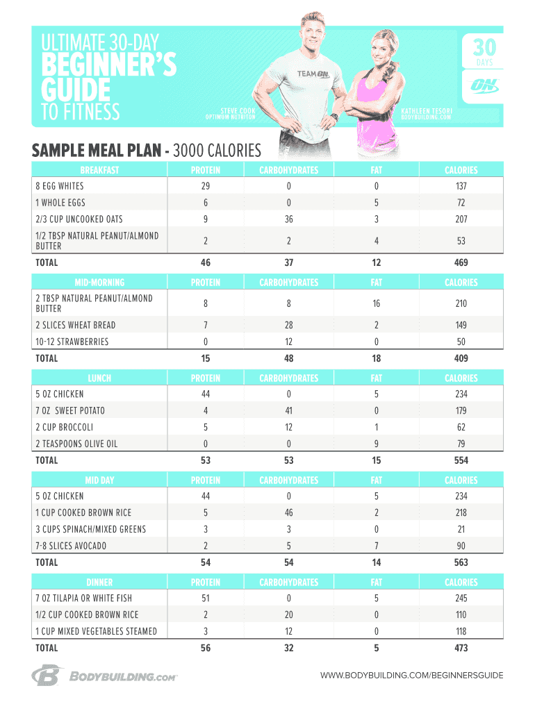 Fillable Online sample meal plan - 3000 calories - Bodybuilding.com Fax