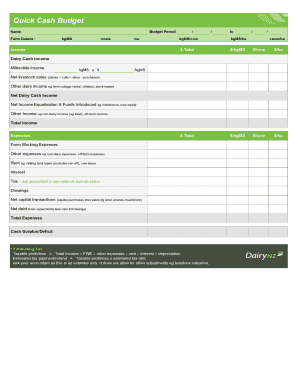 Quick Cash Budget