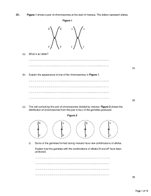 Biology Exam Questions