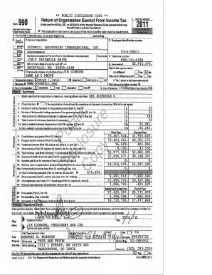 IRS Form 990 Exempt Organization Tax Return