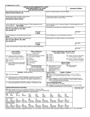 US Bankruptcy Voluntary Petition Form