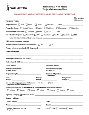 Television & New Media Project Information Sheet