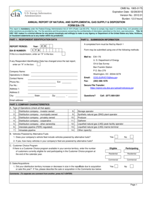 Annual Report of Natural and Supplemental Gas Supply & Disposition