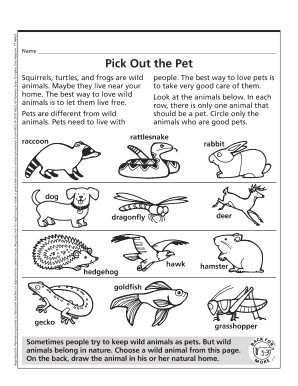 Pick Out the Pet Worksheet