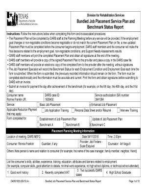 Bundled Job Placement Service Plan and Benchmark Status Report