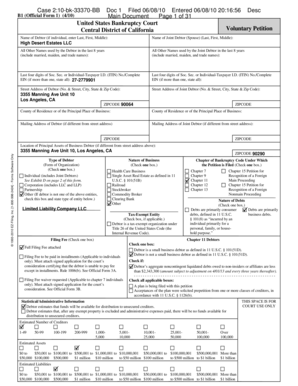 US Bankruptcy Voluntary Petition Form