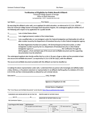 Verification of Eligibility for Public Benefit Affidavit