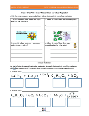 Amoeba Sisters Video Recap Photosynthesis and Cellular Respiration Comparison