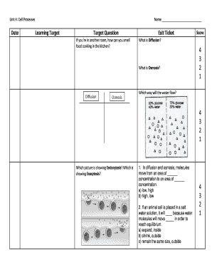 Cell Processes Worksheet