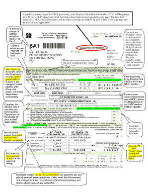 Hong Kong Individual Tax Return