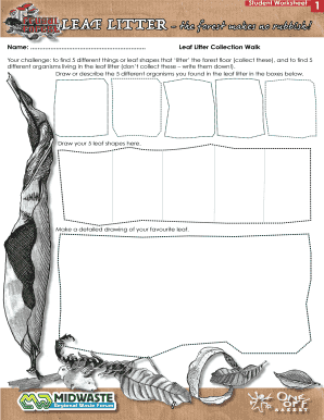 Leaf Litter and Fungi Worksheet