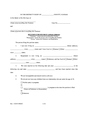 Petition for Divorce Without Children