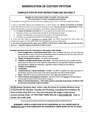 Modification of Custody Petition