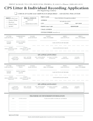 Form preview picture