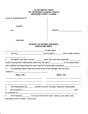 Affidavit of Income, Expenses, Assets and Debts