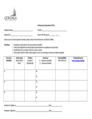 Performance Improvement Plan