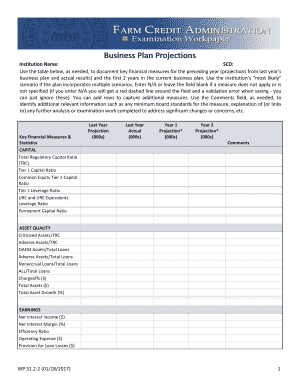 Business Plan Projections Form