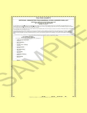 Georgia Absentee Ballot