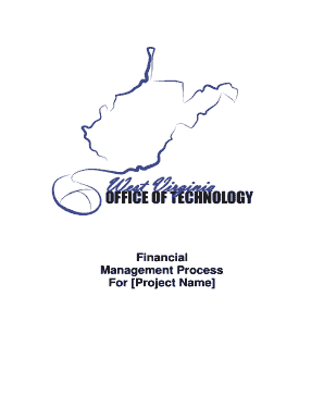 Executing - Financial Management Plan - LEMMON - technology wv