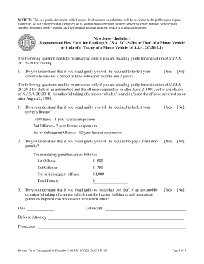 Supplemental Plea Form for Eluding or Theft of a Motor Vehicle