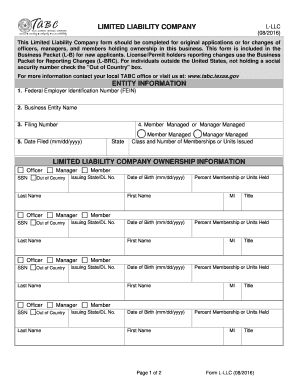 Texas Limited Liability Company Form L-LLC