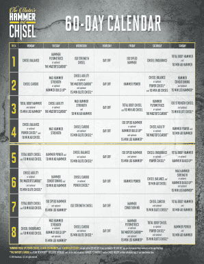 Fillable Online 60-DAY CALENDAR Fax Email Print - pdfFiller