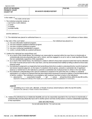 Michigan Six-Month Review Report
