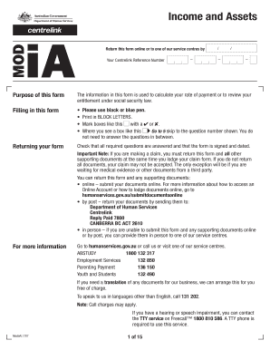 Income and Assets Form