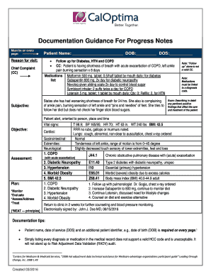 Progress Notes Documentation Guidance
