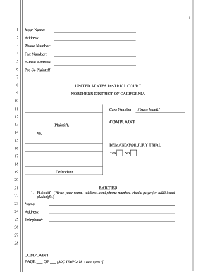 Civil Complaint Template