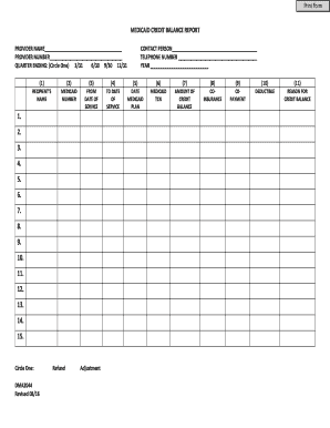 Medicaid Credit Balance Report