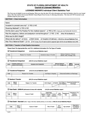 Licensed Midwife Annual Report Form