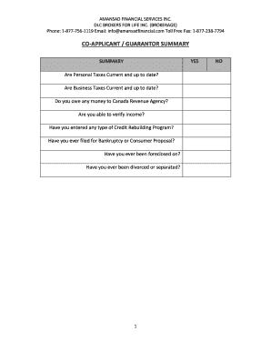 Co-Applicant Guarantor Summary Form