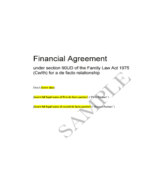 Financial Agreement for De Facto Relationship