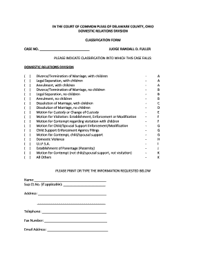 Delaware County Ohio Domestic Relations Classification Form