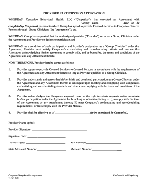 Provider Participation Attestation