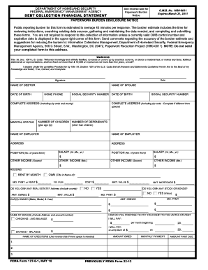 Debt Collection Financial Statement