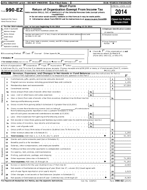 Form 990-EZ Tax Return