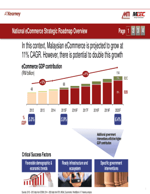 National eCommerce Strategic Roadmap Overview