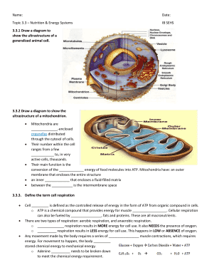 IB SEHS Nutrition & Energy Systems Worksheet