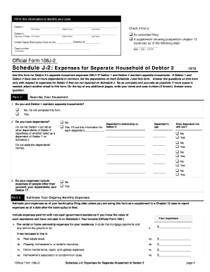 Schedule J-2: Expenses for Separate Household of Debtor 2