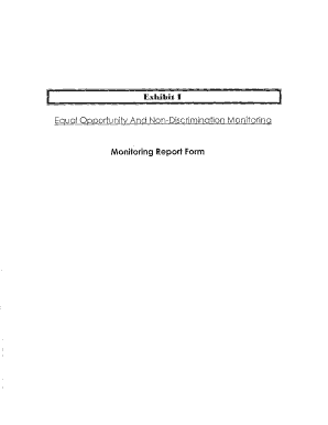 Equal Opportunity Monitoring Report Form