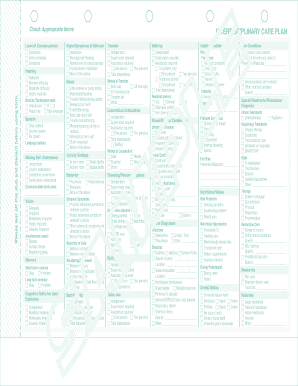 Interdisciplinary Care Plan Form