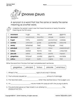 Synonym Sleuth Worksheet
