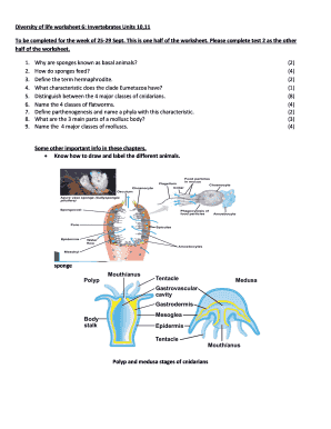 Invertebrates Worksheet 6