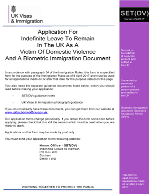 UK SET DV Indefinite Leave to Remain Application