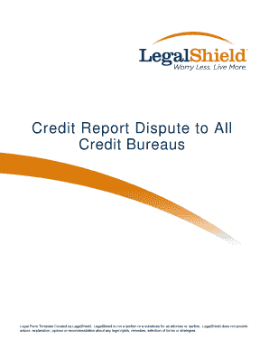 Credit Report Dispute to All Bureaus